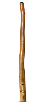 Tristan O'Meara Didgeridoo (TM268)